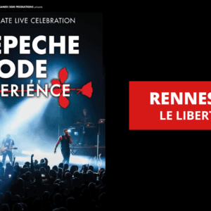 THE DEPECHE MODE EXPERIENCE