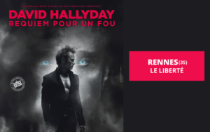 david hallyday