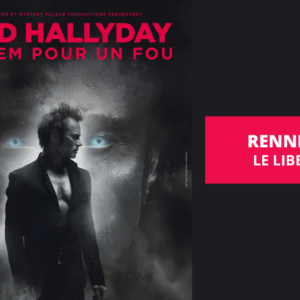 david hallyday