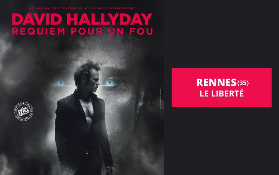 david hallyday